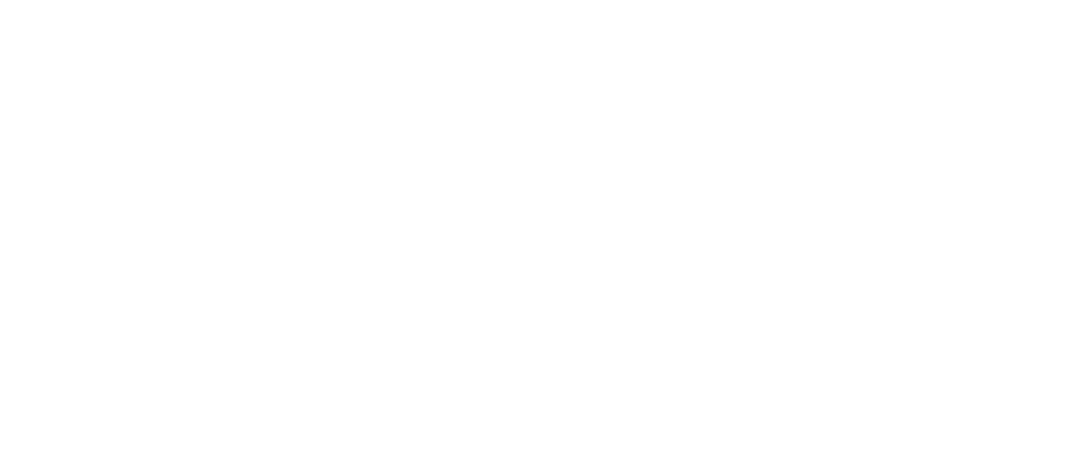 Google Partner Network logo