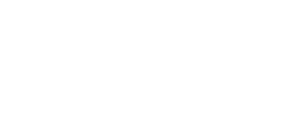 meta Partner Network logo